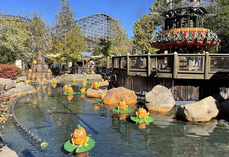 Diversión en Dollywood
