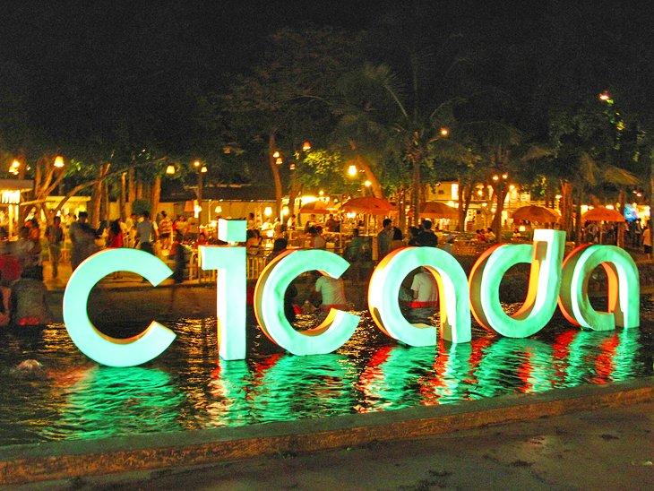 Mercado Cicada de noche