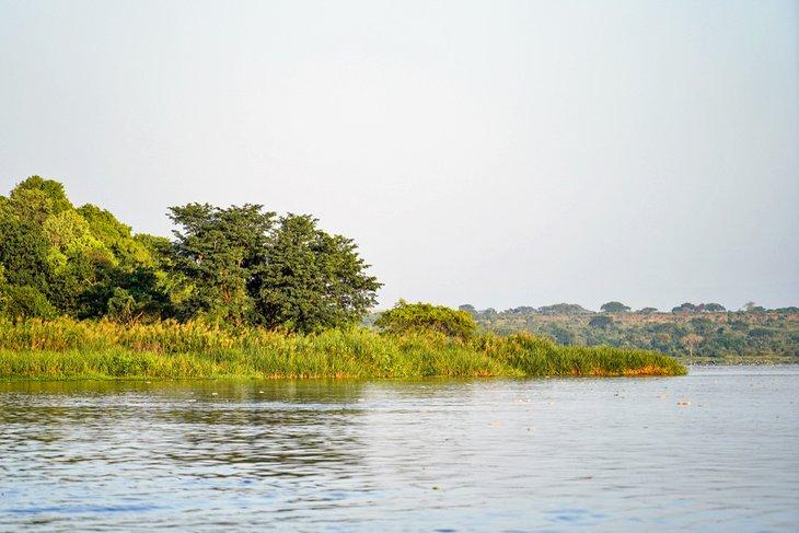 Lago Kyoga