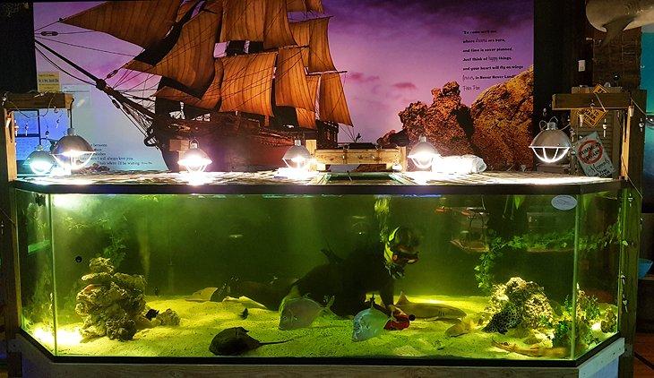 Acuario Ecco y Laboratorio de Tiburones
