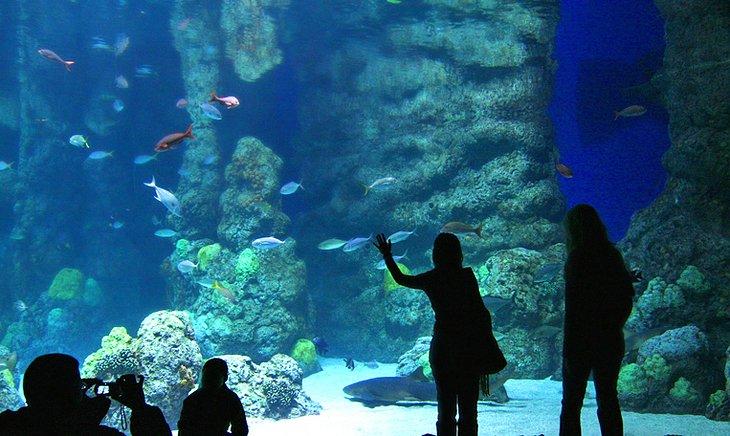 Acuario del Centro de Denver