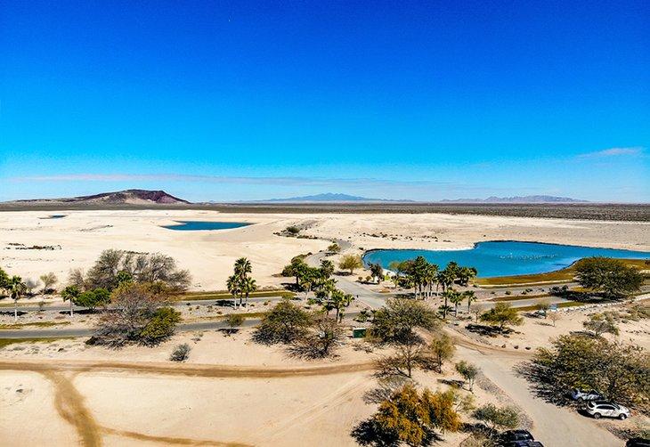 Blick auf das Pinacate-Reservat