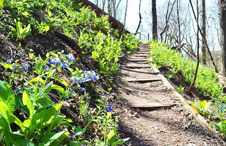 Sentier des jardins botaniques de Clegg