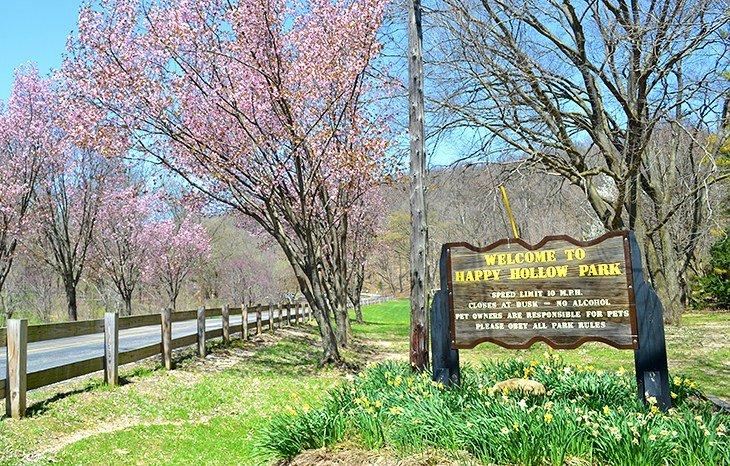Parc Happy Hollow