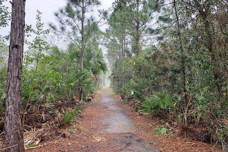 Spruce Bluff Preserve