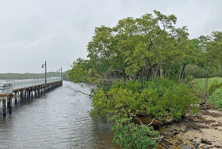 El Riverwalk Boardwalk pasa por bosques de manglares
