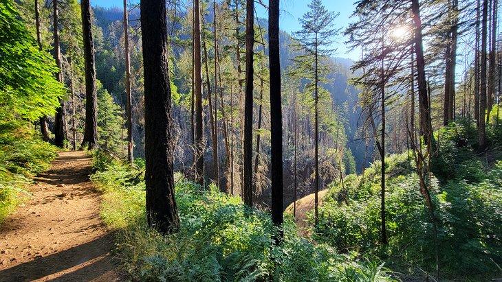 Sendero Eagle Creek