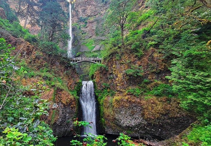 Cascadas Multnomah