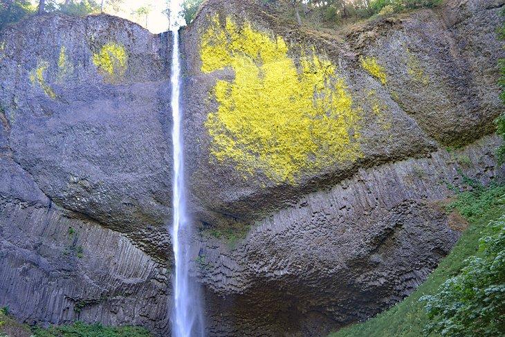 Cascadas Latourell