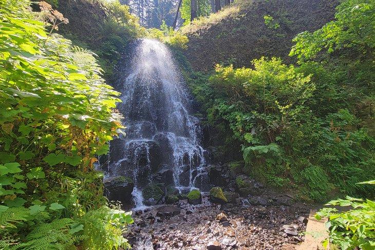 Cascadas Fairy, camino arriba desde las Cascadas Wahkeena