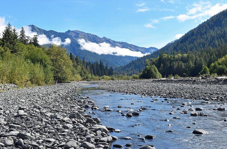 Rivière Hoh sur le sentier de la rivière Hoh