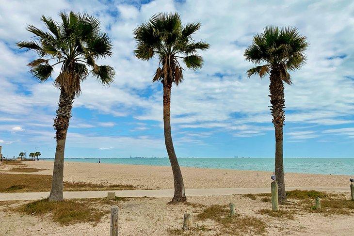 Plage North à Corpus Christi