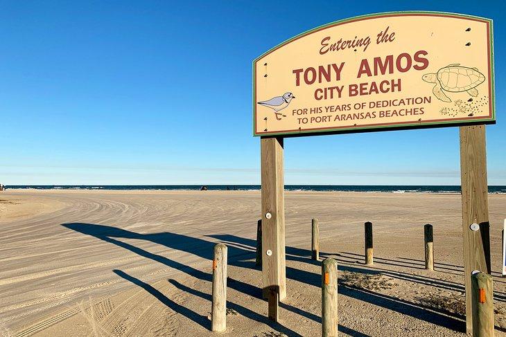 Plage de Tony Amos