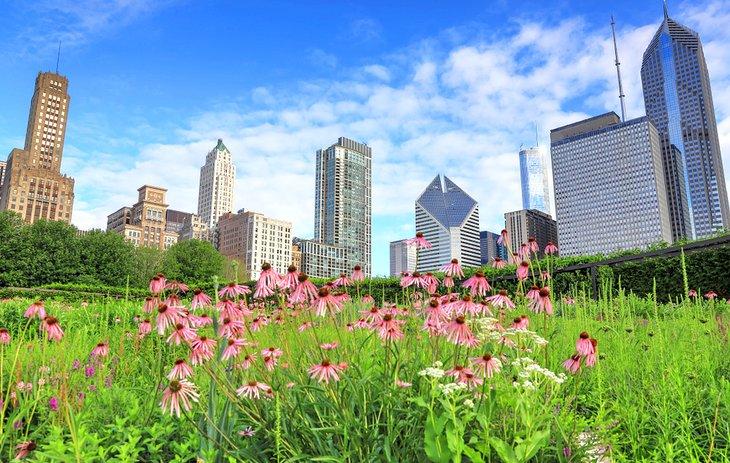 Jardin Lurie et skyline de Chicago