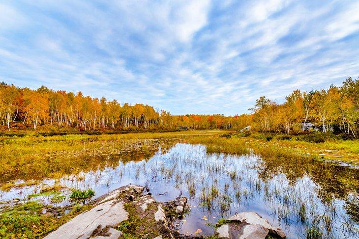Área de Conservación del Lago Laurentian