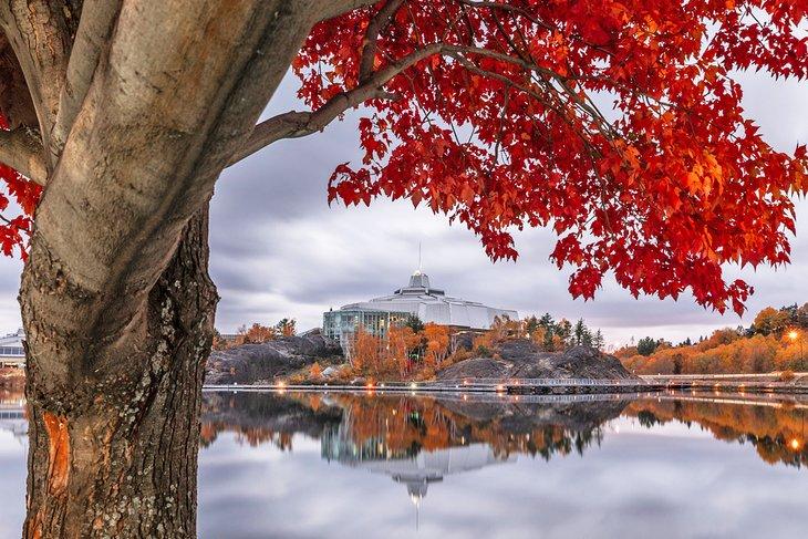Un arce rojo enmarca las orillas del Lago Ramsey y Science North en Sudbury