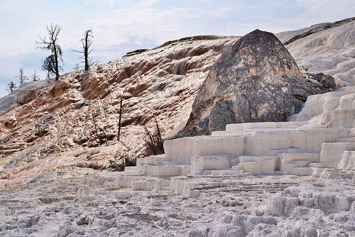 Mammoth Hot Springs, la atracción homónima del Campamento Mammoth Springs