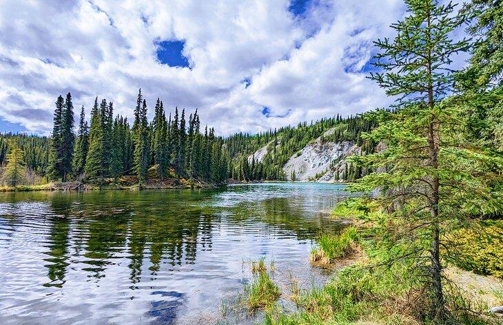 Horseshoe Lake, Denali Nationalpark
