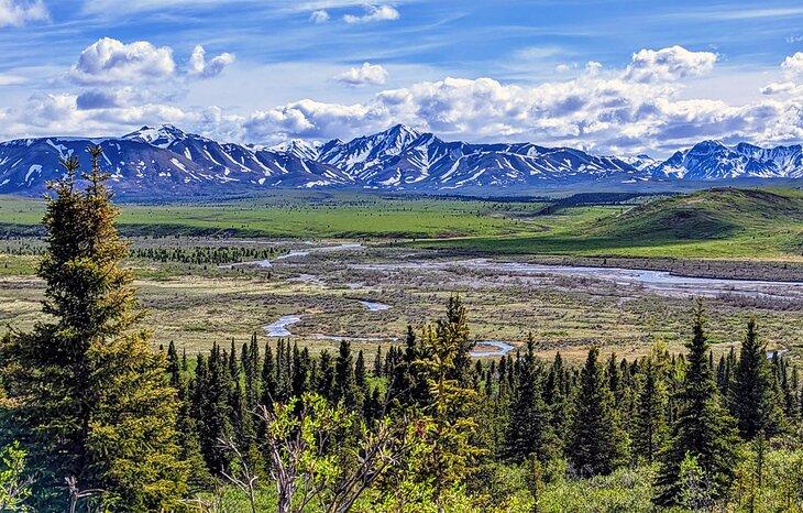 Denali Nationalpark