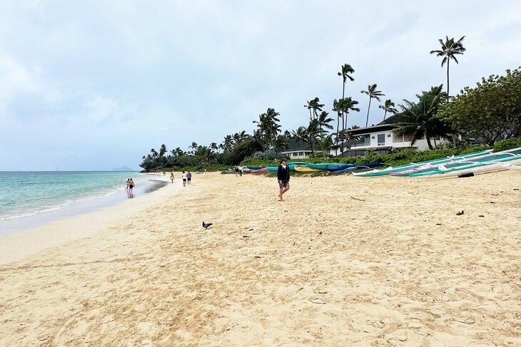 Playa Lanikai