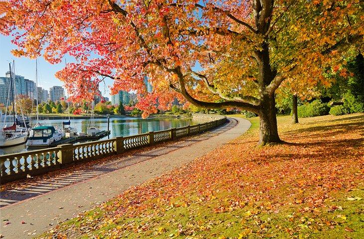 Herbstfarben entlang eines Pfades im Stanley Park