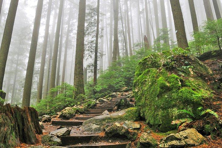 Weg auf dem Grouse Grind