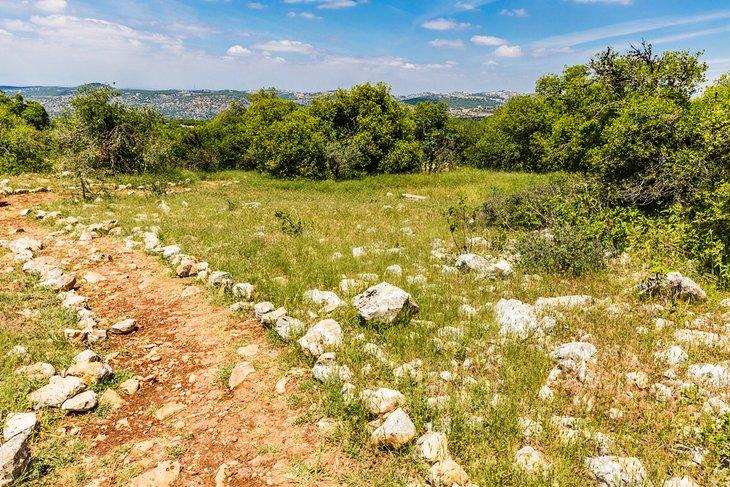 Rehtrail im Ajloun-Waldreservat