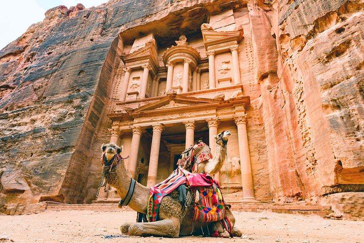 Kamele vor dem Schatzhaus in Petra
