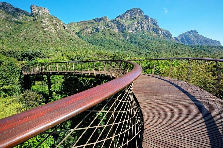 Passerelle dans le Jardin Botanique National de Kirstenbosch