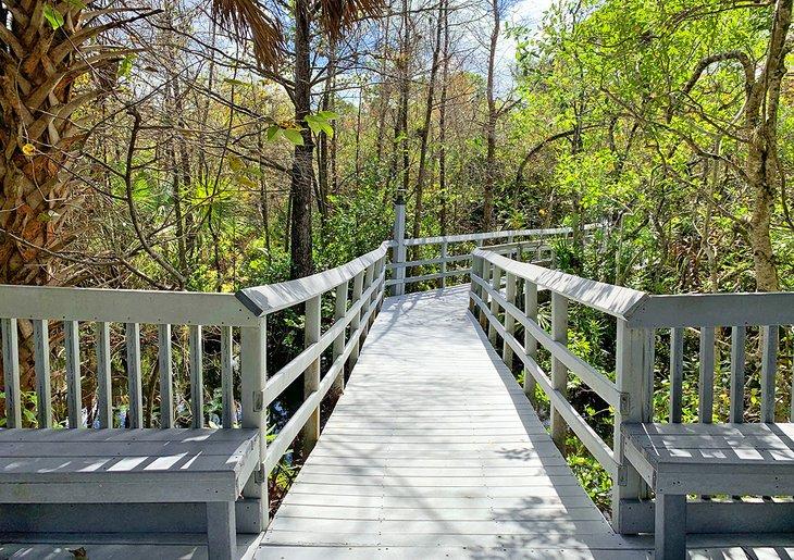 Un chemin en bois mène les visiteurs sur le Cypress Creek Trail