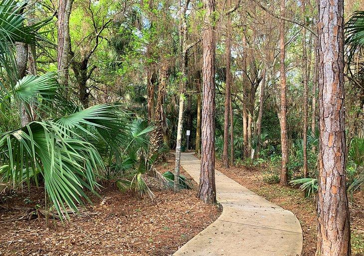 De grands pins et palmiers offrent beaucoup d'ombre dans cette zone naturelle