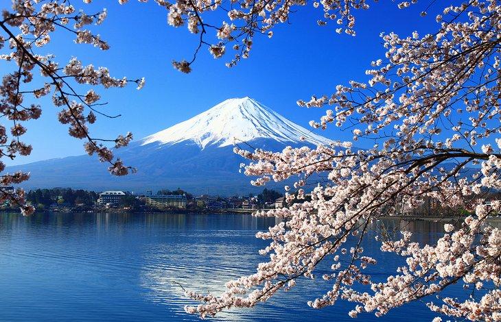 Der Fujisan und der Kawaguchi-See