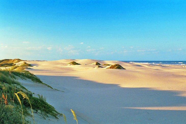 Dunas de arena prístinas en South Padre Island, Texas