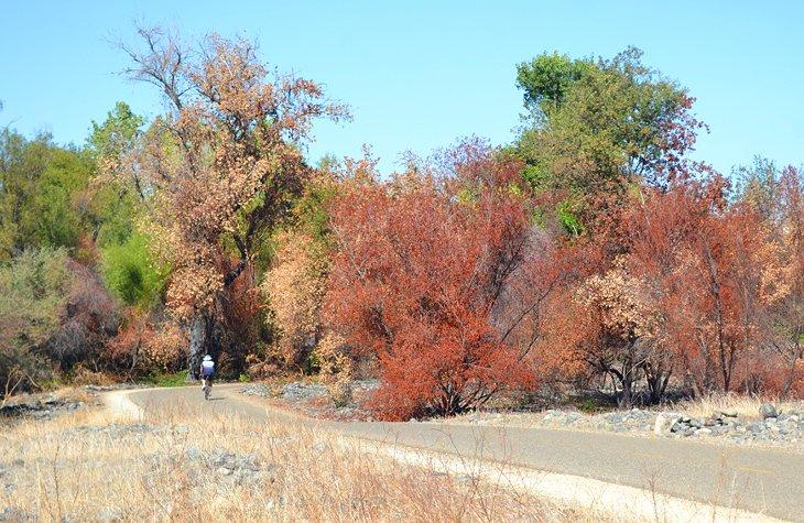 Jedediah Smith Memorial Parkway et American River Parkway