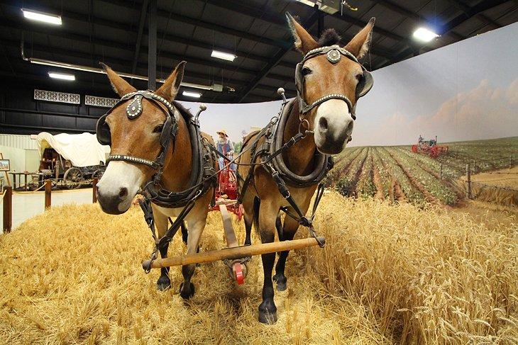 Museo Bayer de Agricultura