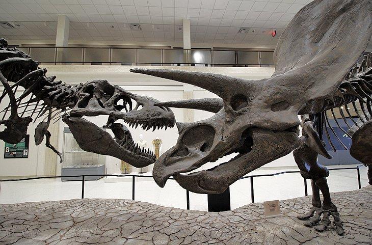 Museo de la Universidad de Texas Tech