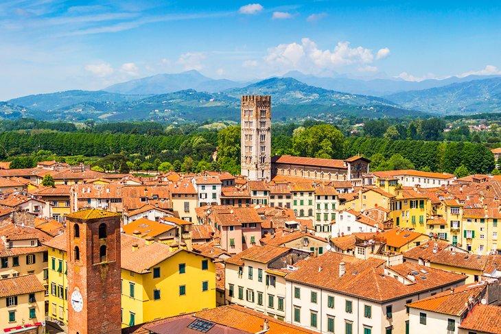 Vue sur les toits en terre cuite de Lucques