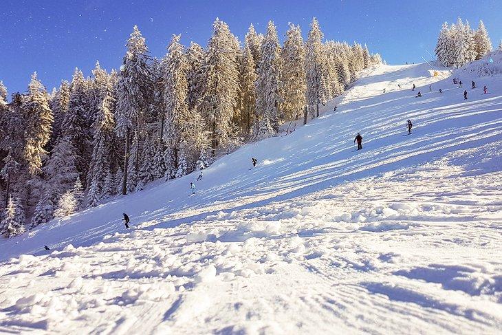 Esquí en Whitefish