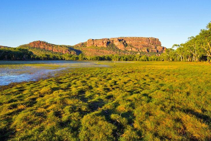 Vue sur Nourlangie depuis Anbangbang Billabong, parc national de Kakadu