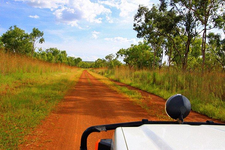 Fahren im Kakadu