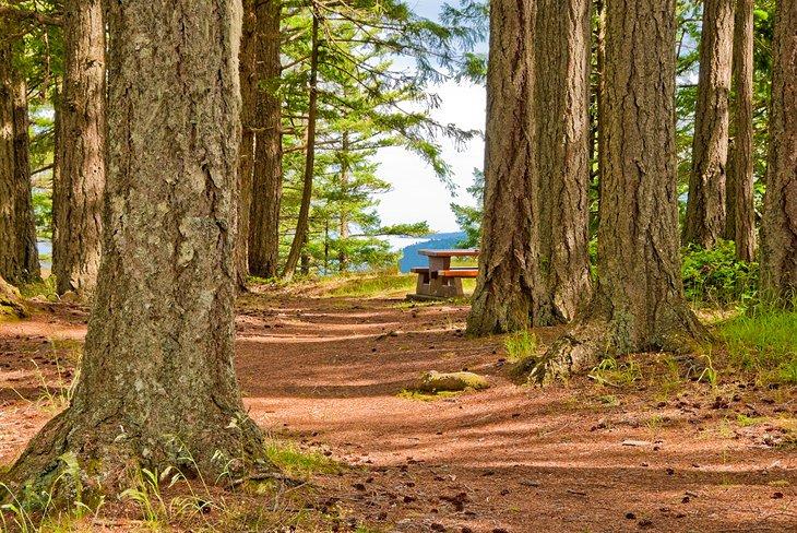 Sentier de randonnée au Mont Maxwell