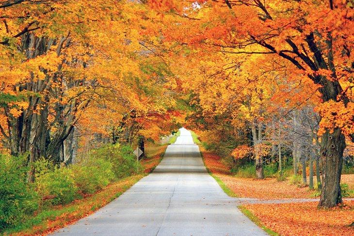 Colores de otoño en Wisconsin