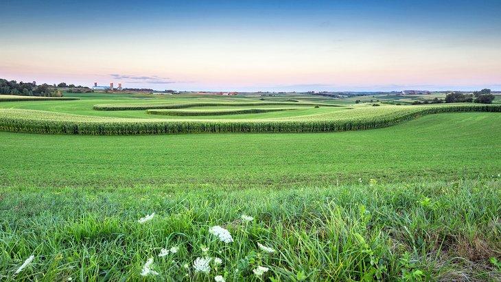 Tierra de cultivo en la Región Driftless de Wisconsin