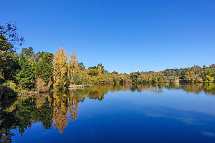 Colores otoñales en el Lago Daylesford