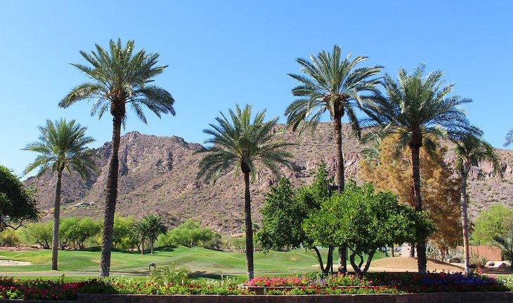 Paisaje en un resort en Phoenix