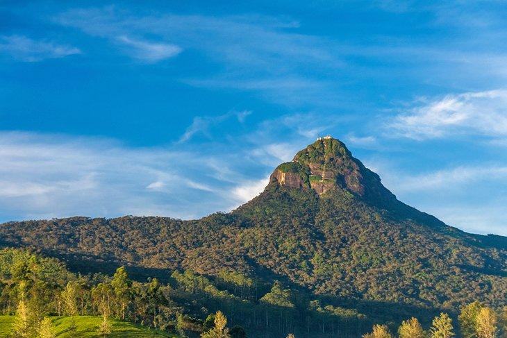 Pico de Adán