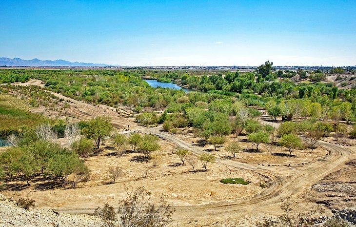 Pantanos Este de Yuma