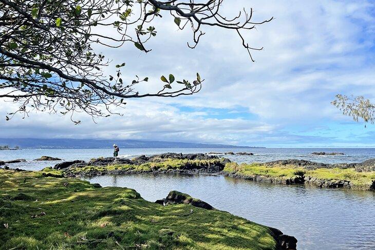 Carlsmith Beach Park | Foto Copyright: Meagan Drillinger