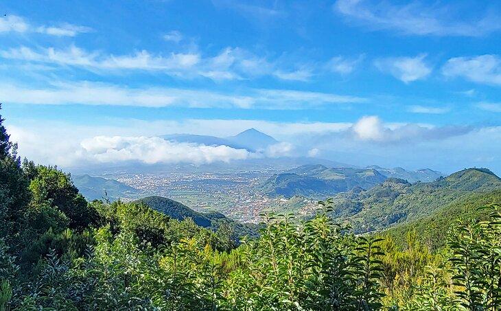 Vista desde el Parque Rural de Anaga