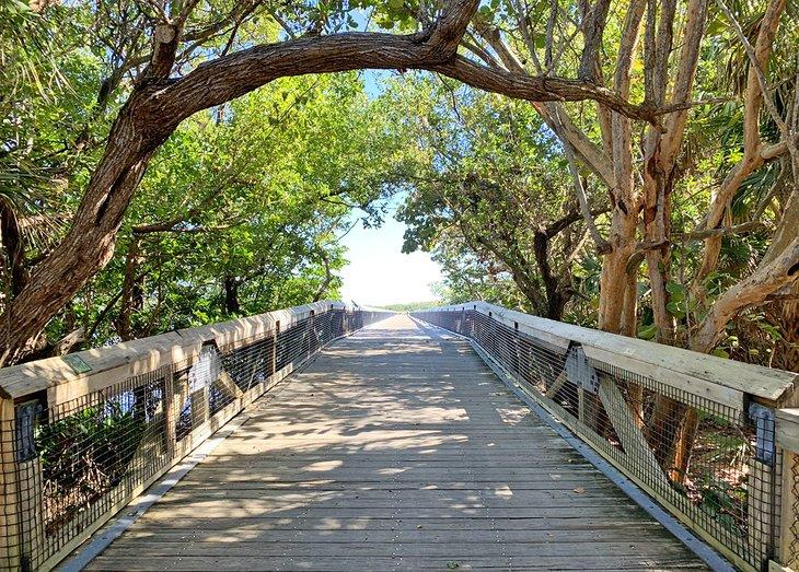 Pasarela entre árboles en el Parque Estatal de John D. MacArthur Beach